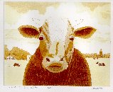 click here to enlarge