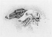 click here to enlarge